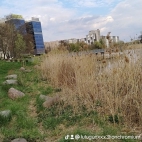 watermark-6e1f00d91b97aa1bc1e22270d235a999_0