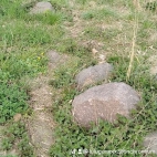 watermark-174a511496d5d50ff3e06a68d4ddbda0_0