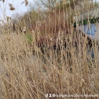 watermark-f0861d8534ad8a26ad4348f0ae7b5058_0