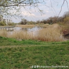 watermark-3d594679ac5d4ae5f2b2e8d847ba6bfd_0