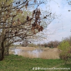 watermark-51a08d8cf909114aee9138e08a275605_0