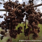 watermark-2c884a7979ea61232dd152890668522e_0