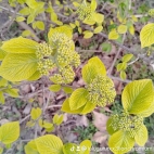 watermark-d274becd048c21e163233d7fe16f003d_0