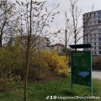 watermark-d2dee338f05689f6061eb5ffd96a00a8_0