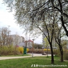watermark-df9b50b1fe0b7bb42138957779074b00_0