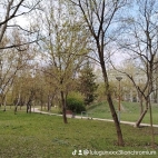 watermark-8b28f9326fa133f347c6b44b4f8825ec_0