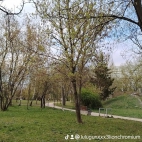 watermark-fc2db0b1047e24535fd253e846c71e0f_0