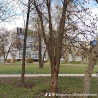 watermark-1720cb5a7be04b73ea2dbab76146ab4d_0