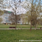 watermark-6ccec521700fae3ac37c1db5e5004b15_0
