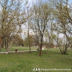 watermark-5438b1bba59dbd72e4e431102b3ce30a_0