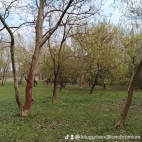 watermark-7430c708387437944bf8072fd6b8492a_0