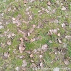 watermark-69d5836dbbd9d66b53f20bcd94b78567_0