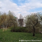 watermark-1ff54255f6f7743ebcfd5849afd7cbaa_0