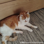 watermark-355d1cba4831154fe9478dd246d5f974_0