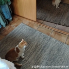 watermark-a1f116c6051f570cd51ae2e45a22cc55_0