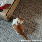 watermark-87afa7a735b1418c049f6f112caa883c_0