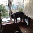 watermark-4b5e81ce9c473cbe4d0eda5ec866b9b4_0