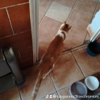 watermark-cedbd9499b09610ffd999d96eda8b439_0