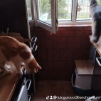 watermark-220f5c6331421d5ac86306c1fcdd17ab_0