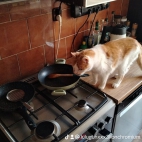 watermark-45c665e02d14abb8500640102f0df8b4_0