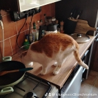 watermark-c39eb83e6dfeb84d36fb8c1257306bcd_0