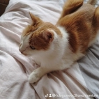 watermark-38490cce60e3f9f1bba67c5f9731f627_0