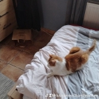 watermark-0c268fbbf14c00f223485c553994509e_0