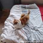 watermark-55d115b7672f220759cc07e11d5eb9f1_0