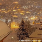 watermark-894ca9147c2cb97521dd3e7b685da01a_0