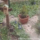 watermark-ca2e844d88e8c6ffa6b501e3e17dff5d_0