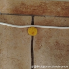 watermark-8f0809f8615497f4db1f009487925569_0