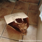 watermark-a5310260ea74cd10e3b853e8d0ca413f_0