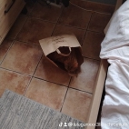 watermark-6db31a7d8348d80238c83a2c7f3f5ade_0