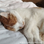 watermark-661165d0eded0658e9939d1d3400fb4a_0