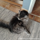 watermark-871f0cbb937562bd46065c3c5dd3945d_0