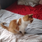 watermark-d8dcdcacb99cfa7dbd3c80e022fec3a9_0