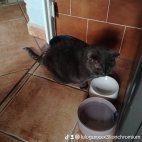 watermark-811564eb53c525afe0f7f21a7c69f798_0