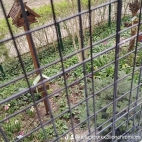 watermark-2713177d6f1da10c7cf006394e0dffd6_0