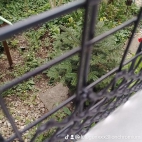 watermark-572769ed4a554a5b251ec6cfffbfd2d4_0