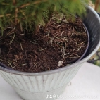 watermark-ce94e2a5653cddcb7d9b268472ac0555_0