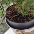 watermark-6ed5628db44b7a4b6bad114f9eb770fe_0