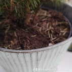 watermark-f8acc1b3ed61aaf36409e6f33114406a_0