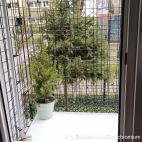 watermark-1666958bb4ed52594ecdf700abe7188e_0