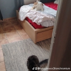 watermark-4efab4277b1c98aaf09b4231ce61e0a3_0