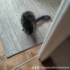 watermark-2176ee3b0ff559b35051f2104d7a5b6e_0