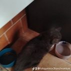 watermark-e6161c544d5e442f4e54f44bd06e0475_0