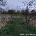 watermark-02203f8f14305c9210f5701c6d3949fb_0