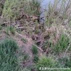 watermark-20b56fad6ac6193d1abf49caed4fe854_0
