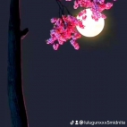 watermark-64dde39bf97e6f0c9a11f2581ccc8bf3_0