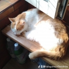 watermark-1b3b55b78219e5057389436018f9c932_0